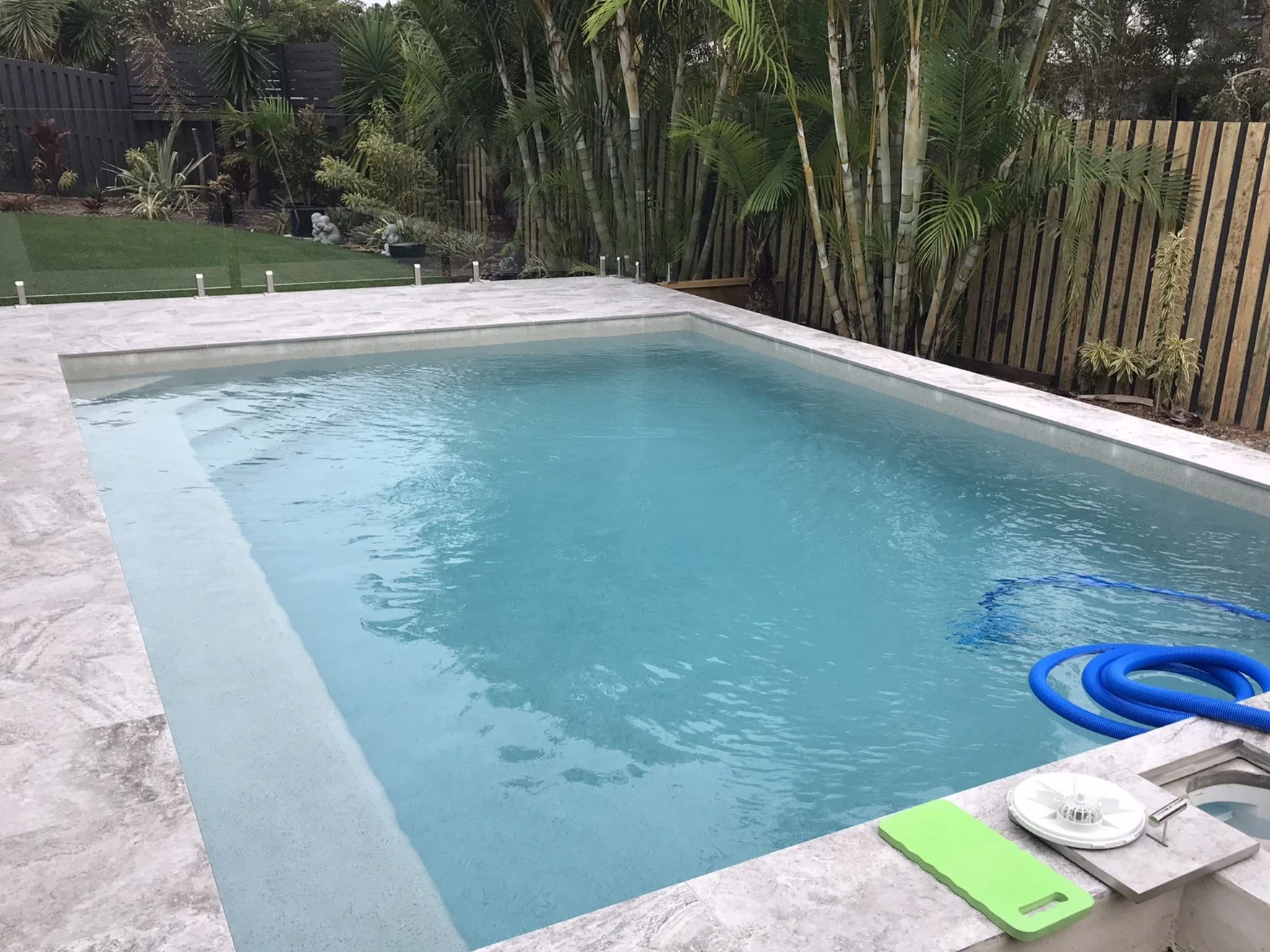 Rectangular swimming pool in Maroochydore with a blue cleaning hose, pale paving and palms beside a timber fence.