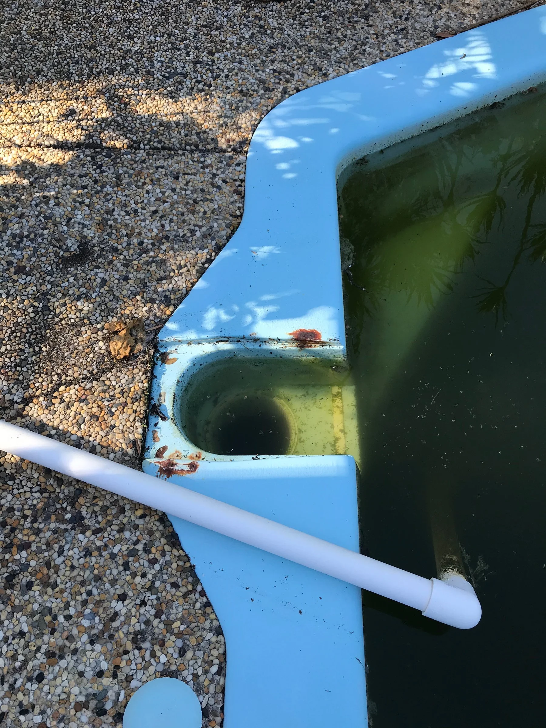 Open skimmer access beside green pool water, with debris around the opening.