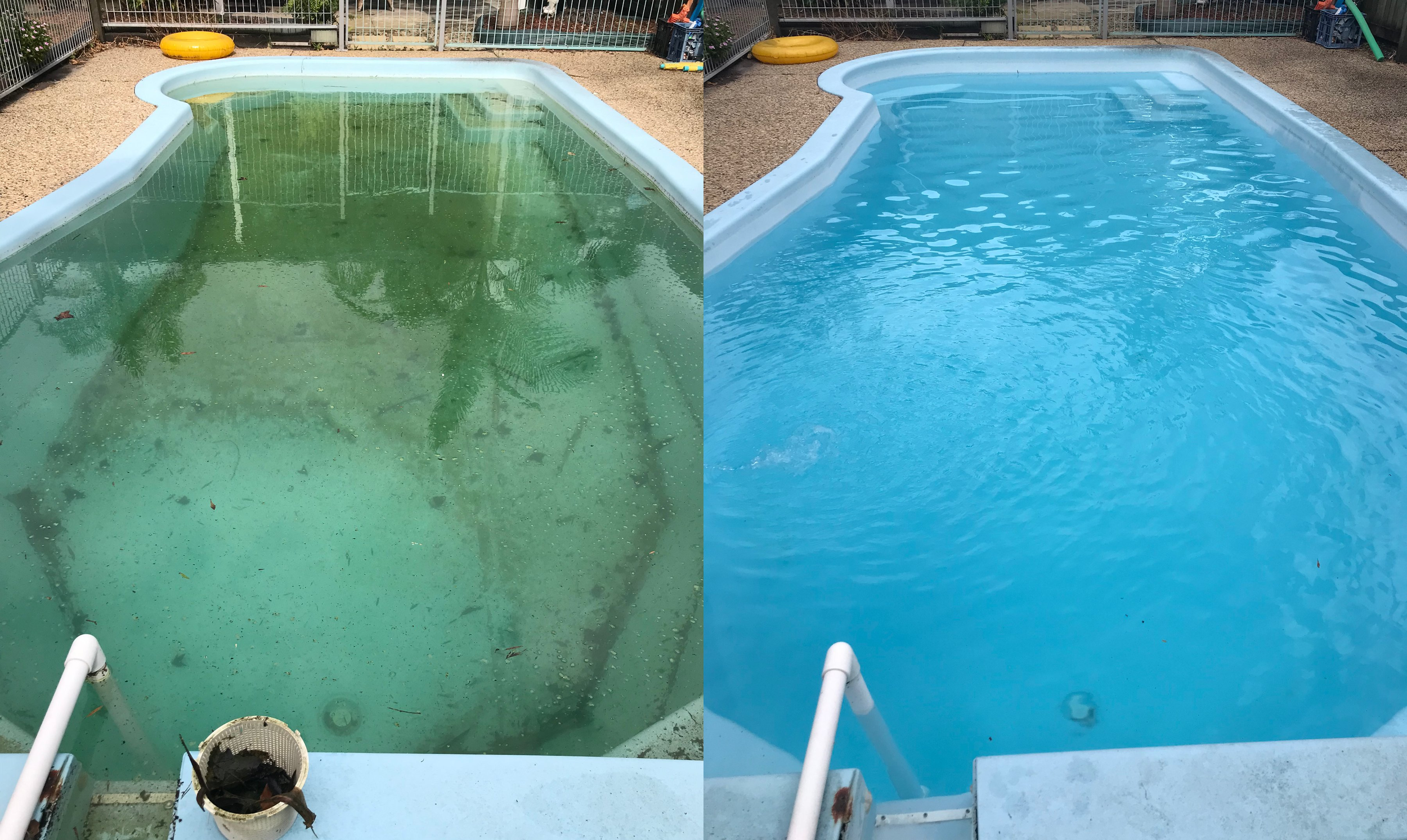 Mountain Creek pool before and after green pool recovery, showing green water and debris transformed into clear blue water.