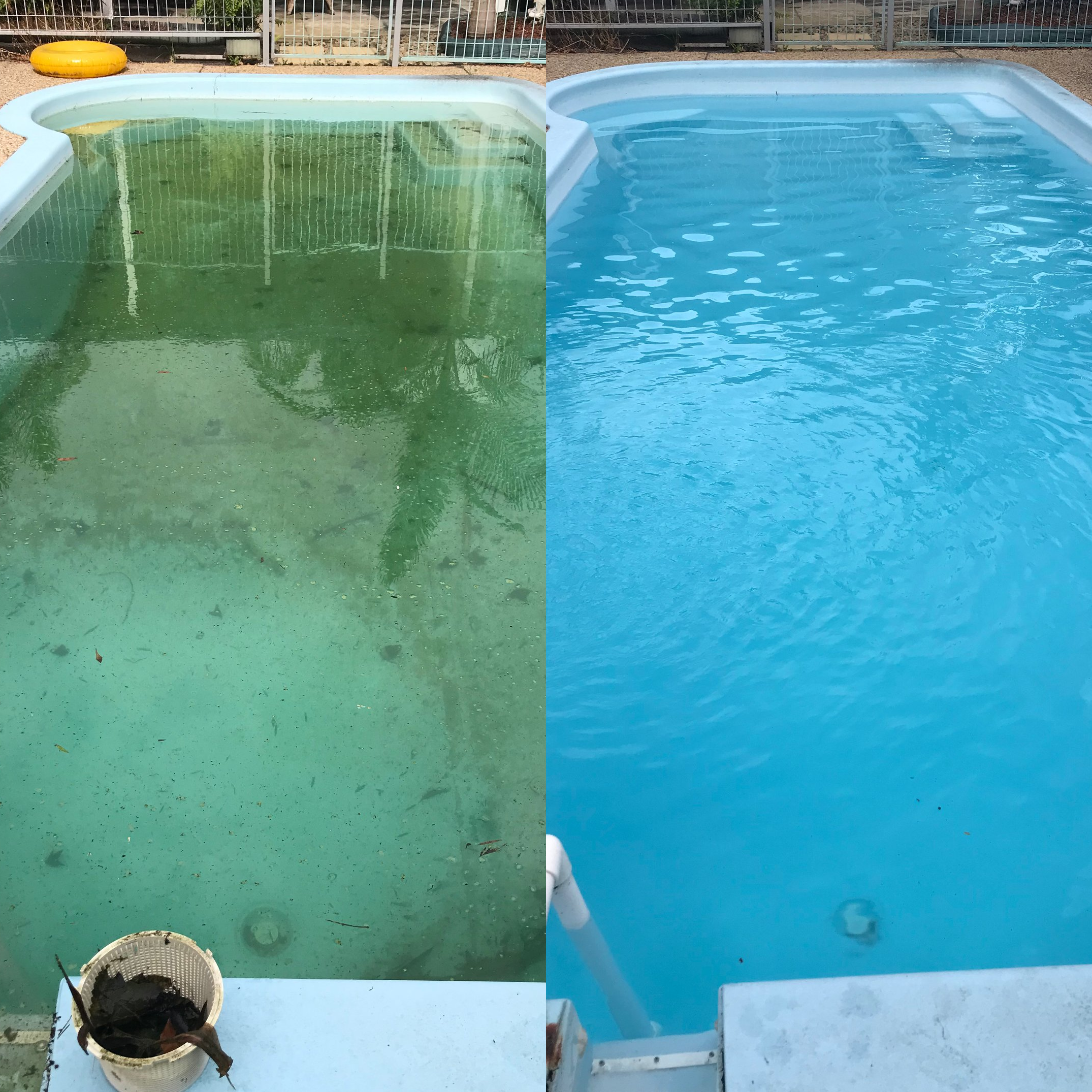 Mountain Creek pool before and after cleaning, showing green water and debris transformed into clear blue water.