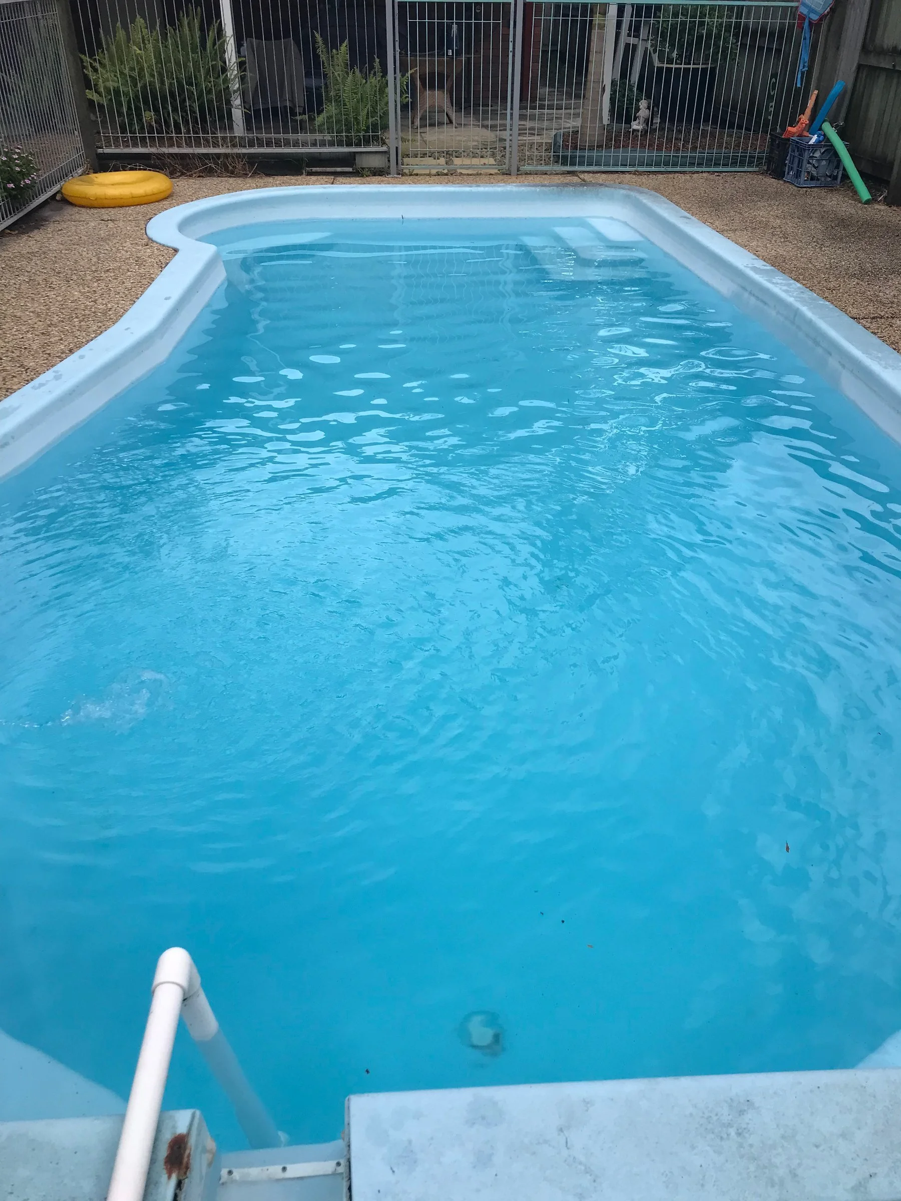 Mountain Creek swimming pool with clear blue water after green pool recovery.