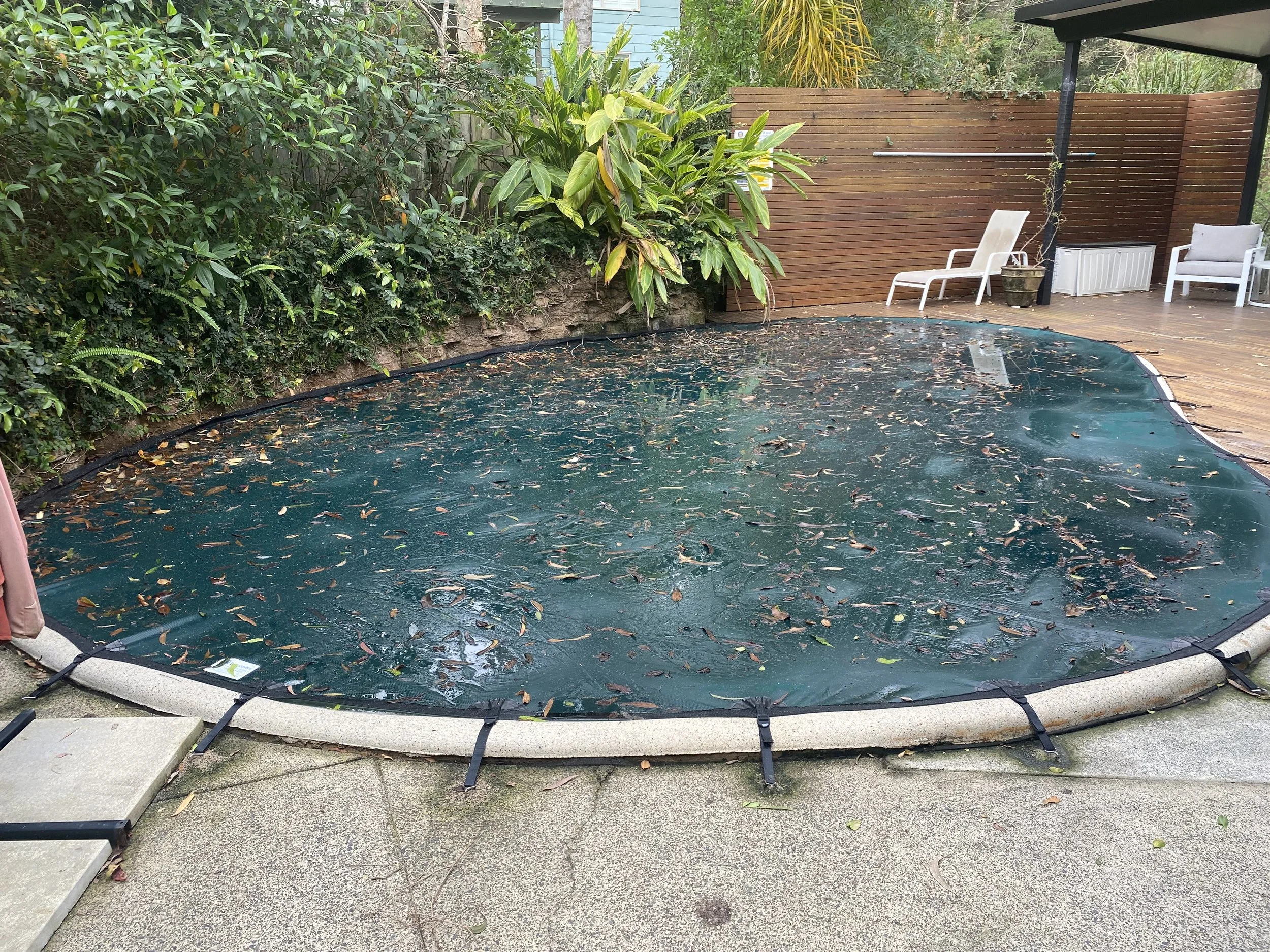 Leaf-covered mesh pool cover secured over a freeform swimming pool beside a timber deck in Buderim.
