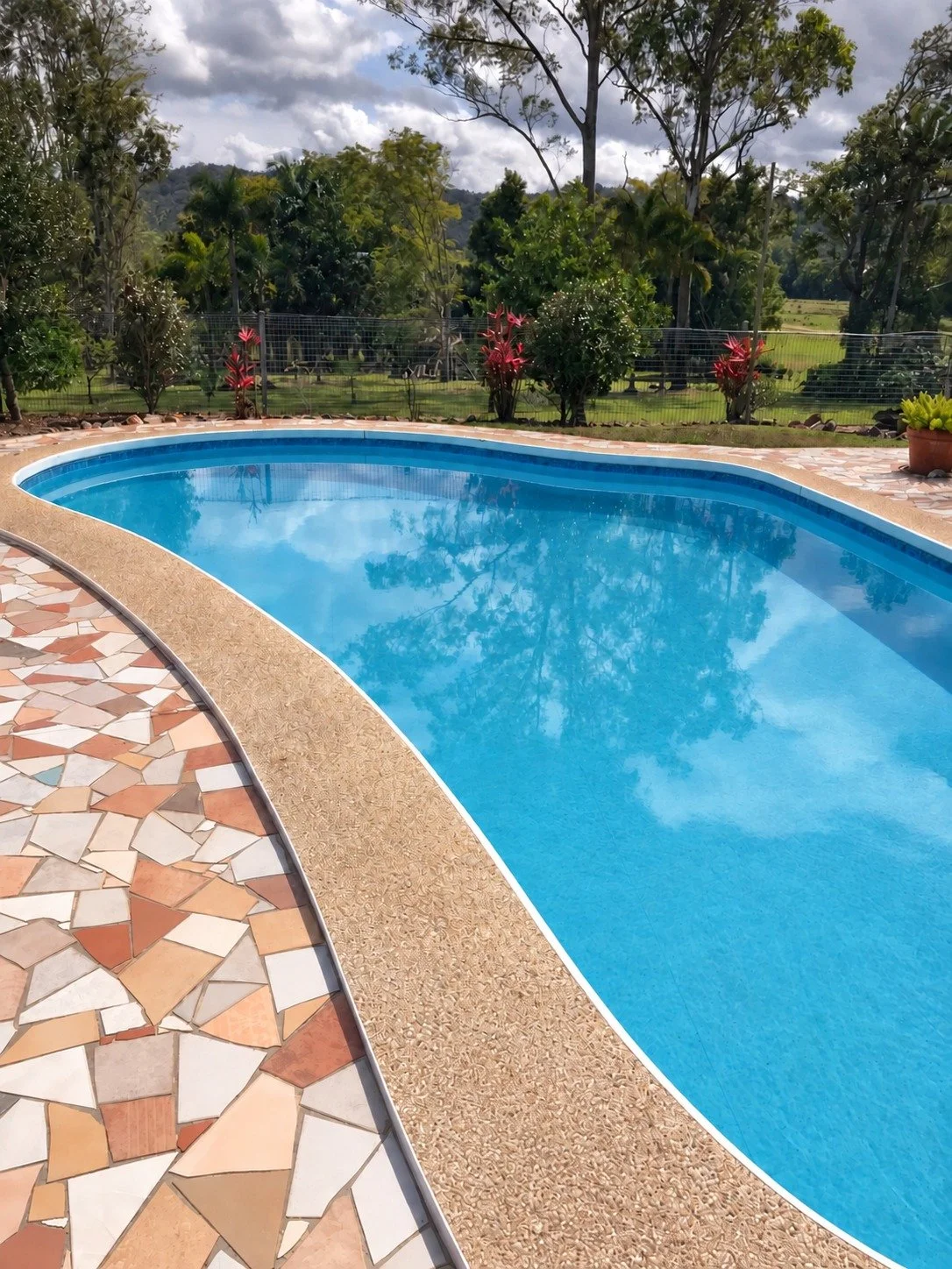 Curved swimming pool with mosaic paving and leafy gardens in Glenview.