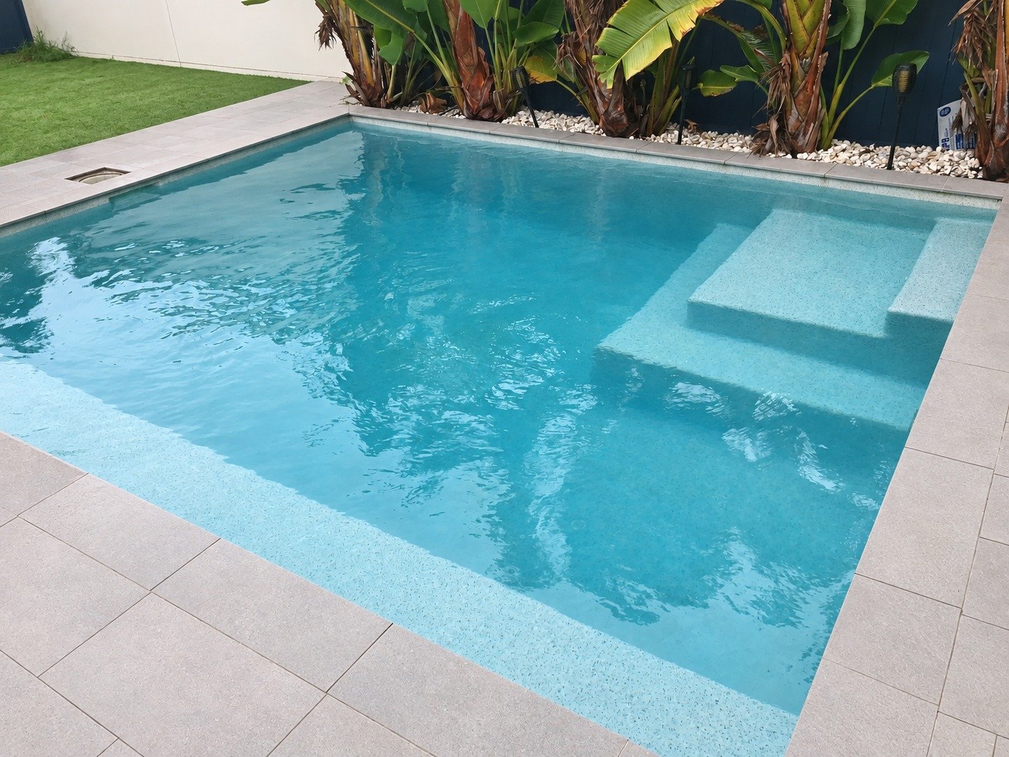 Swimming pool with shallow steps and a tropical garden border in Sippy Downs.
