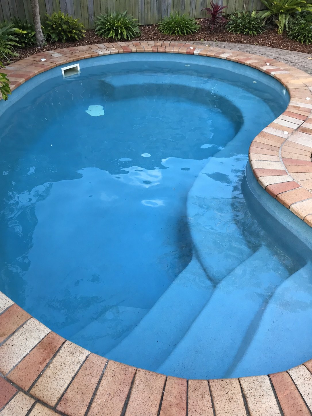 Curved blue swimming pool with brick coping, entry steps and a landscaped garden in Buderim.