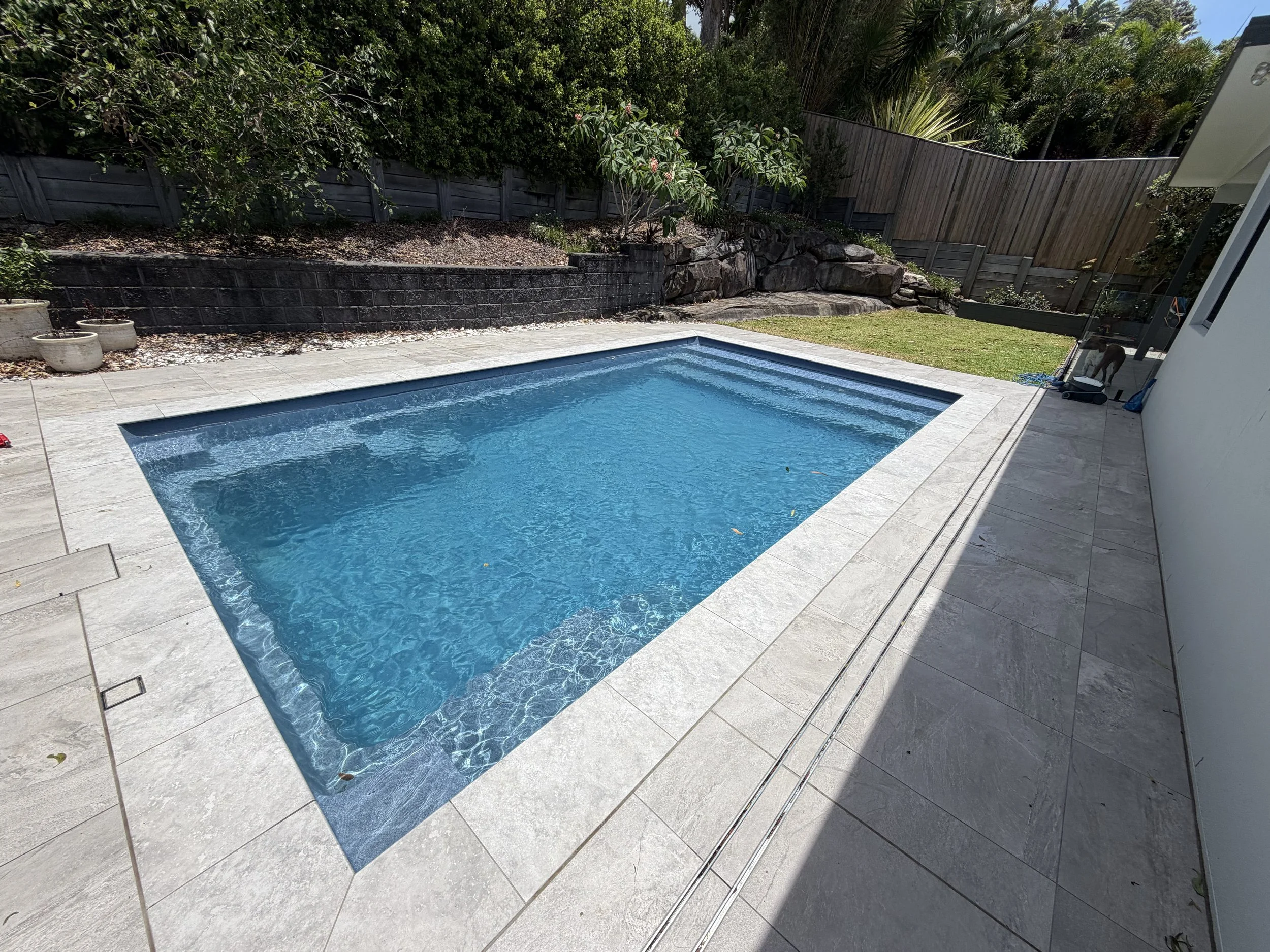 Rectangular backyard swimming pool with grey paving, glass fencing and a raised garden in Buderim.