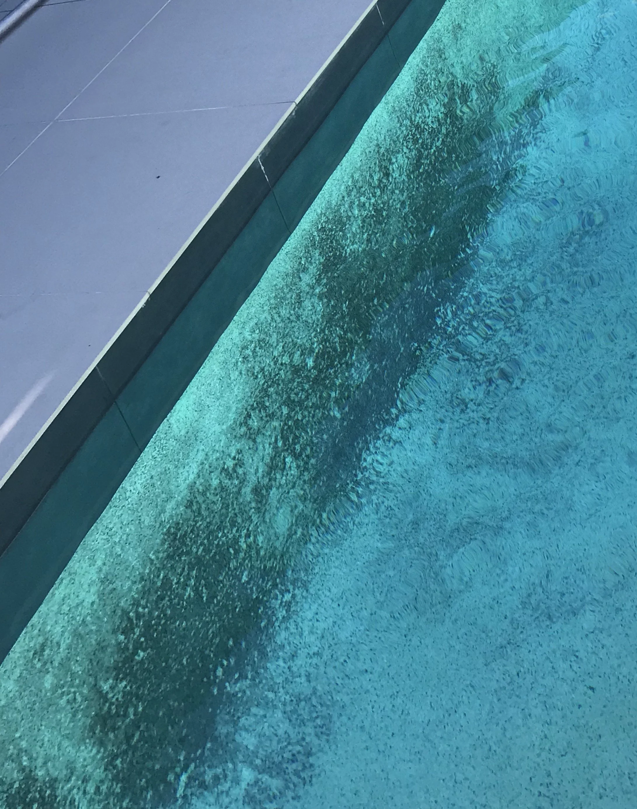 Blue green and black copper deposits on the pool surface before treatment