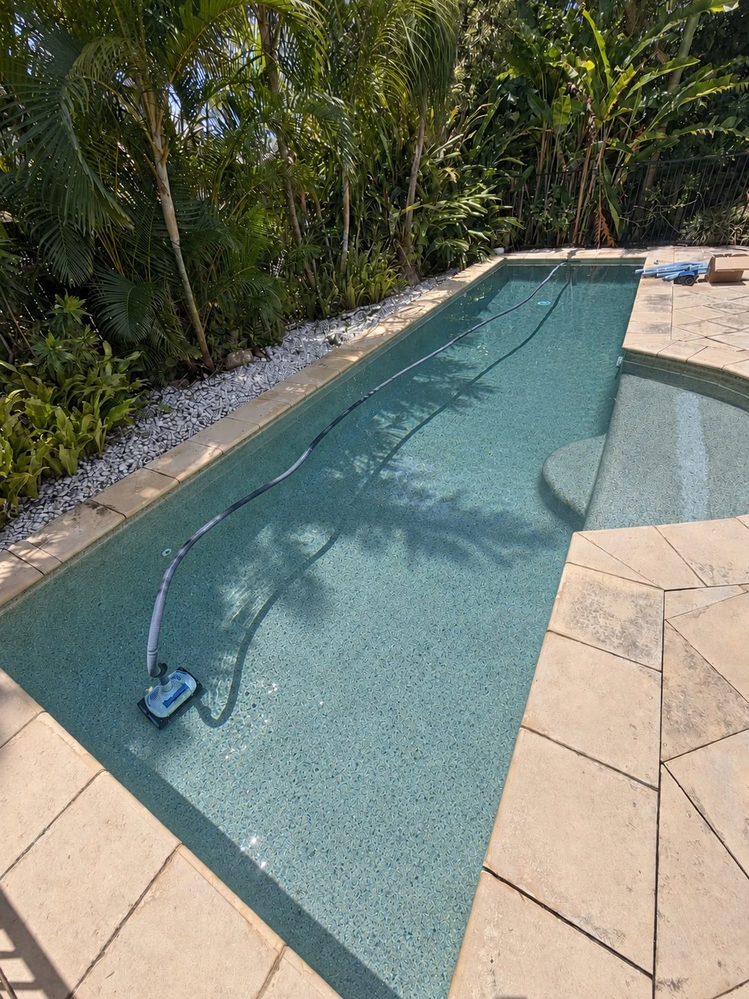 Long garden pool in Warana with blue water, tropical palms, pale paving and an automatic pool cleaner.
