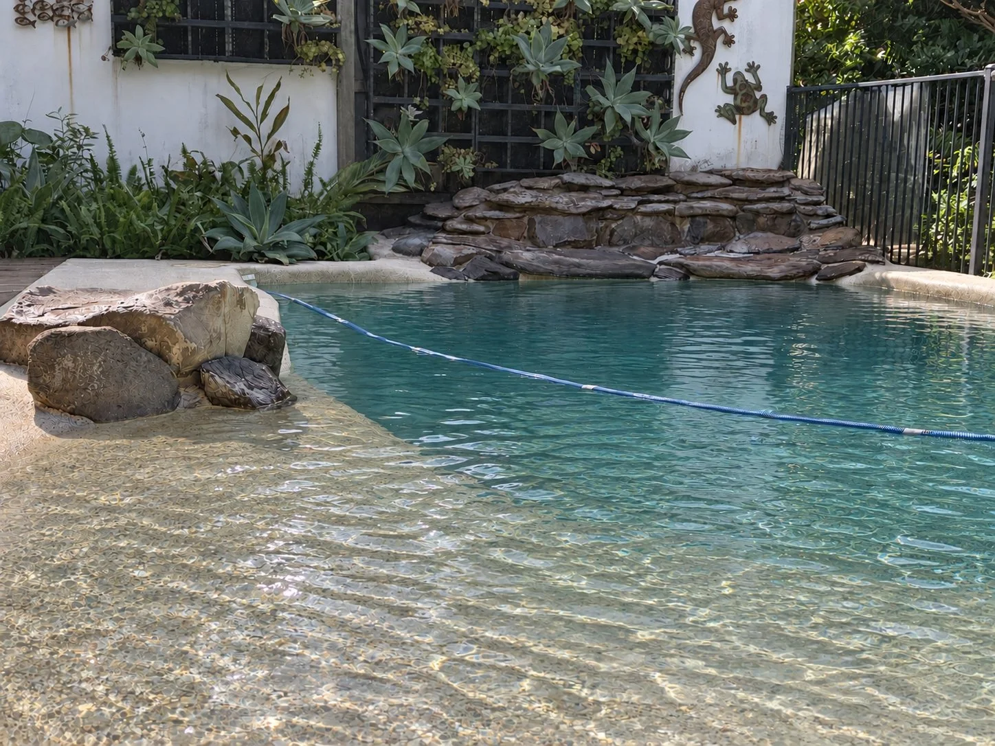 Blue swimming pool in Warana with a shallow pebble entry, natural rocks, a rock water feature and garden plants.