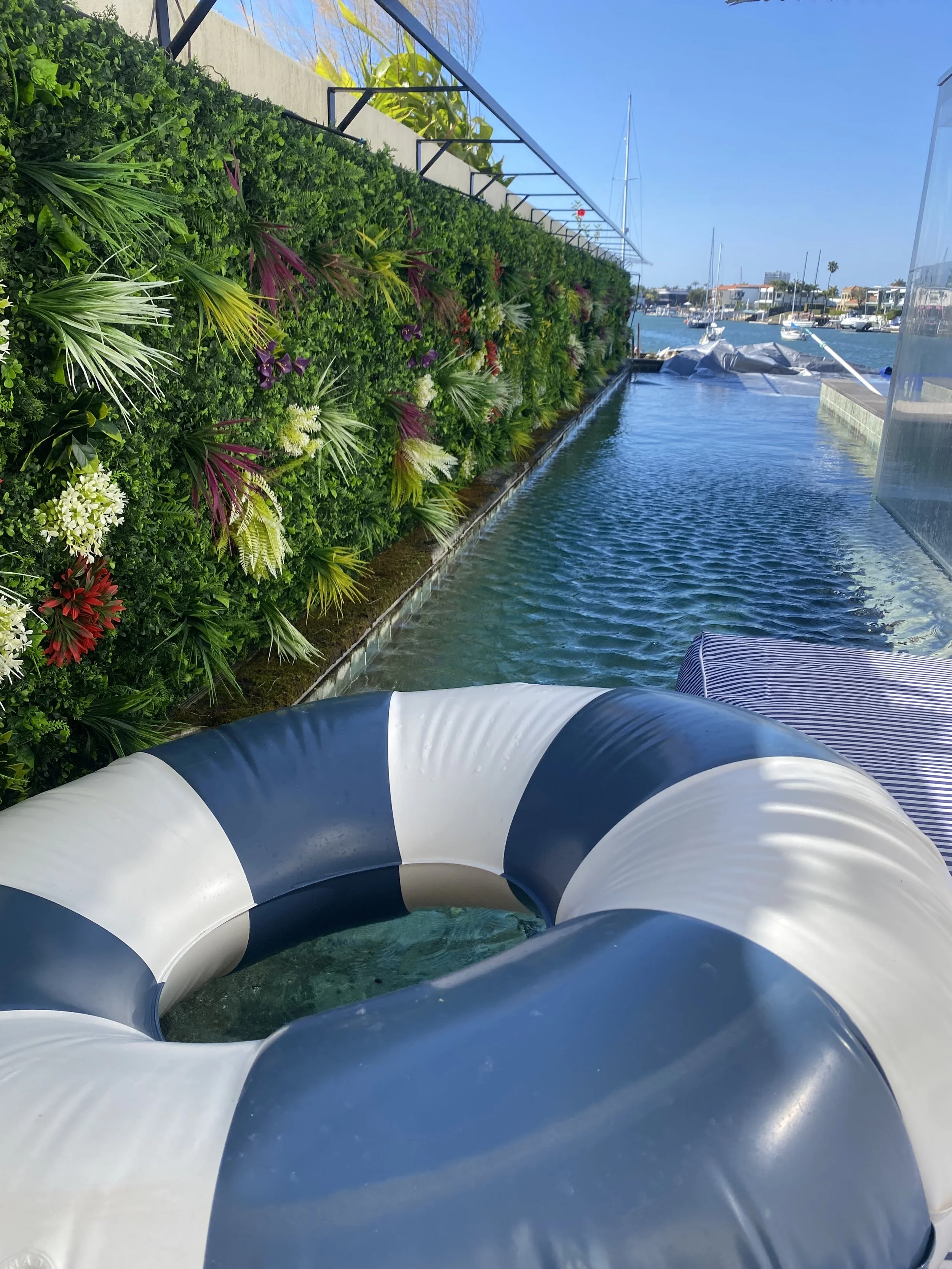 waterfront-lap-pool-vertical-garden-clarity-pool-services-minyama.jpg