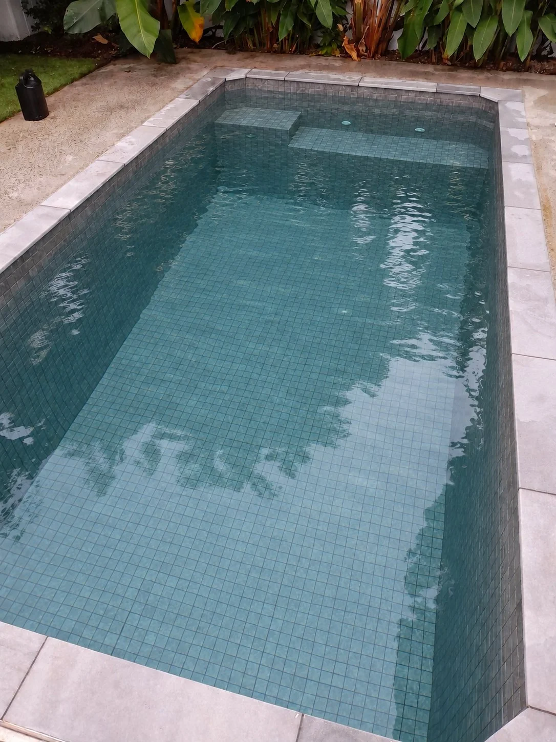 Grey tiled plunge pool in Buddina with clear water, submerged bench seating and tropical plants.