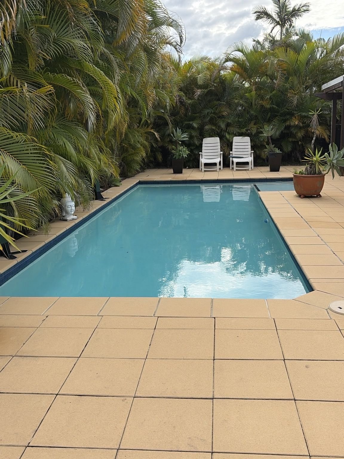 Swimming pool in Mooloolaba surrounded by tropical palms, pale paving and two white sun loungers.