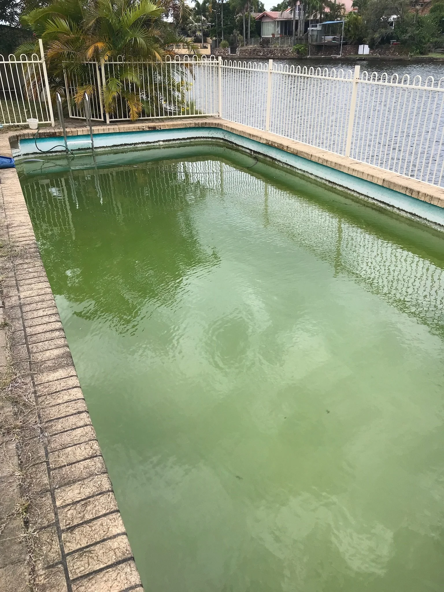 Ageing vinyl pool in Wurtulla with green water before recovery