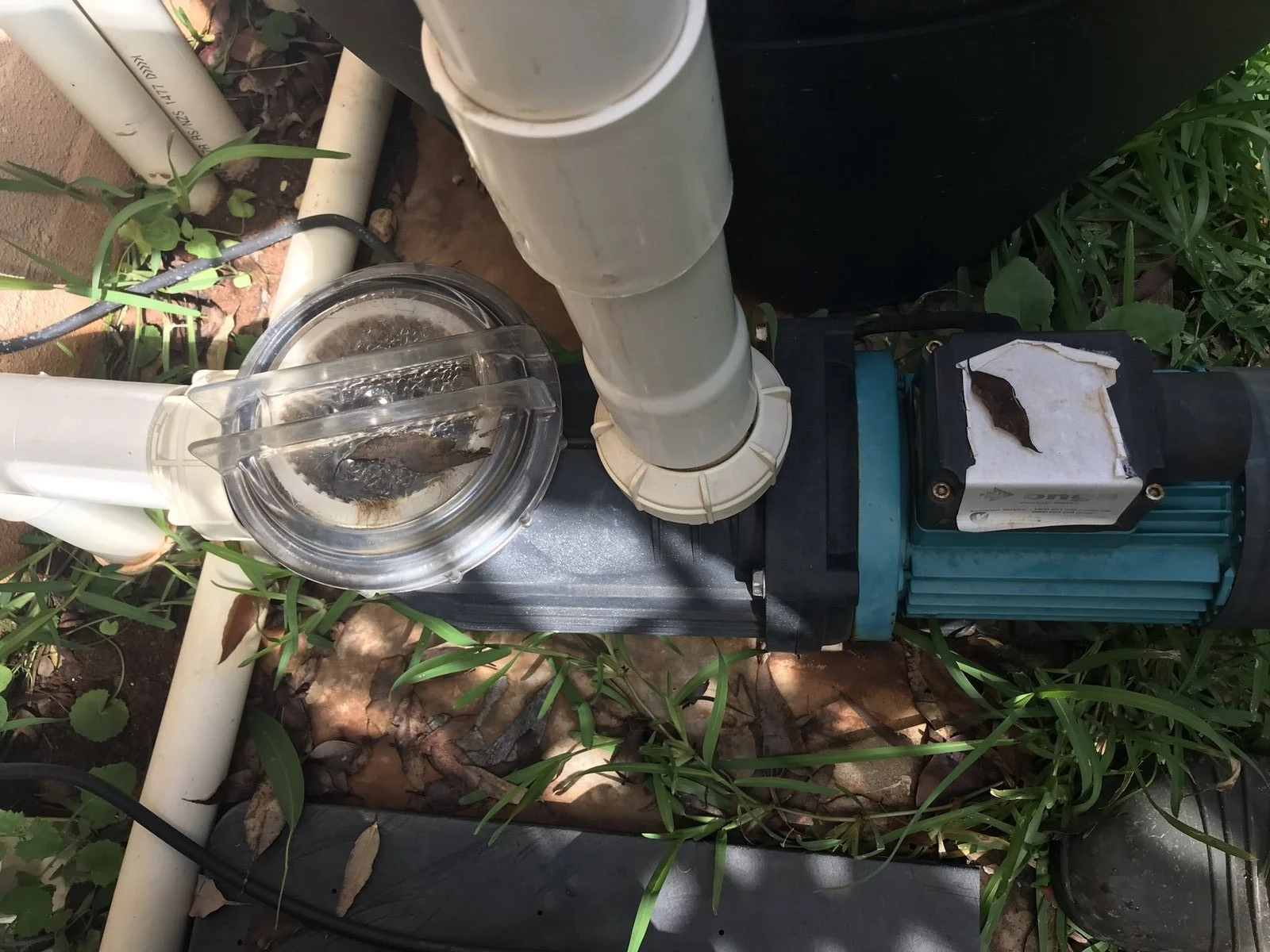 Failed pool pump removed from the Buderim property