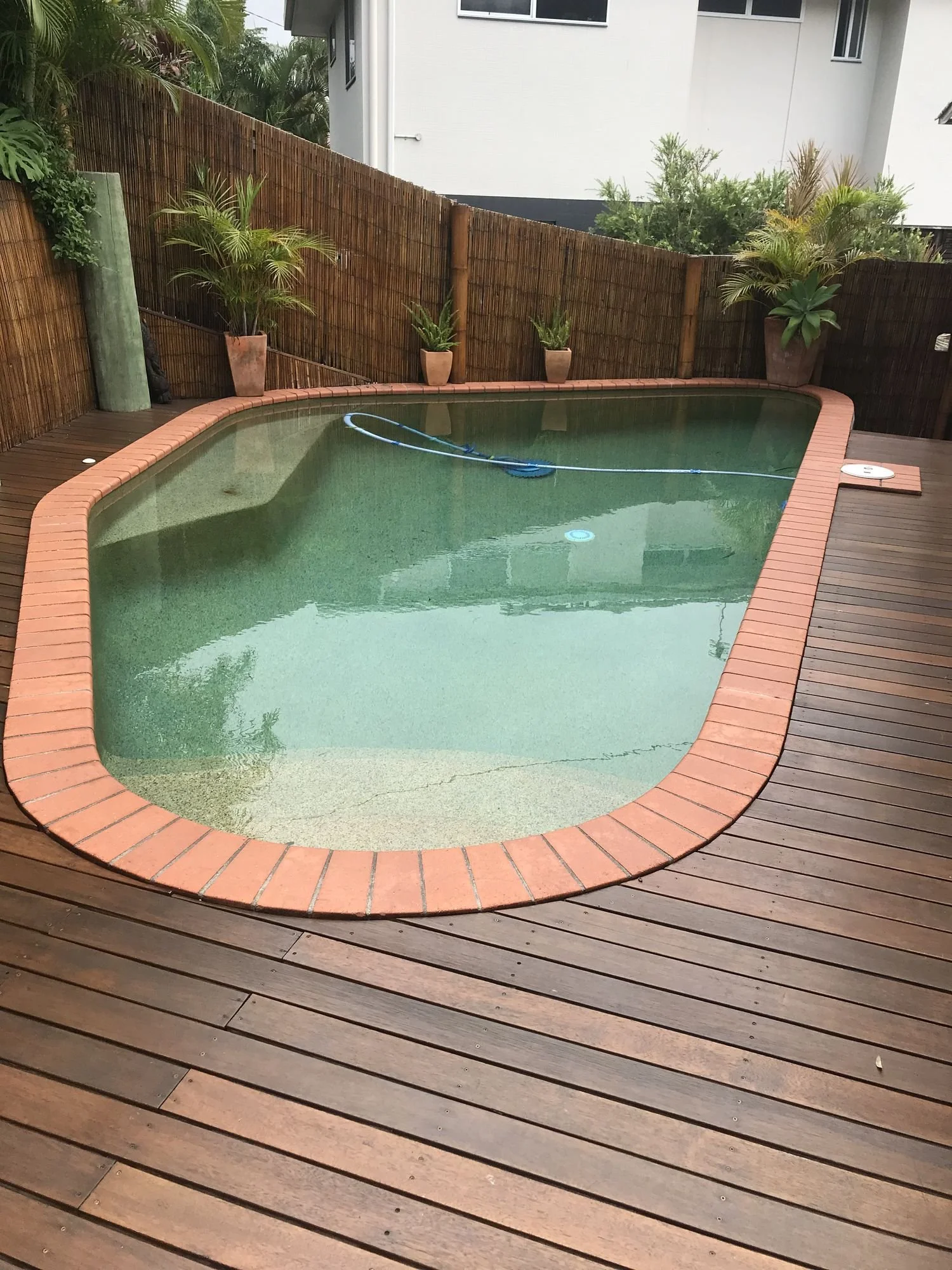 Backyard swimming pool in Alexandra Headland with a timber deck, red coping and tropical plants.