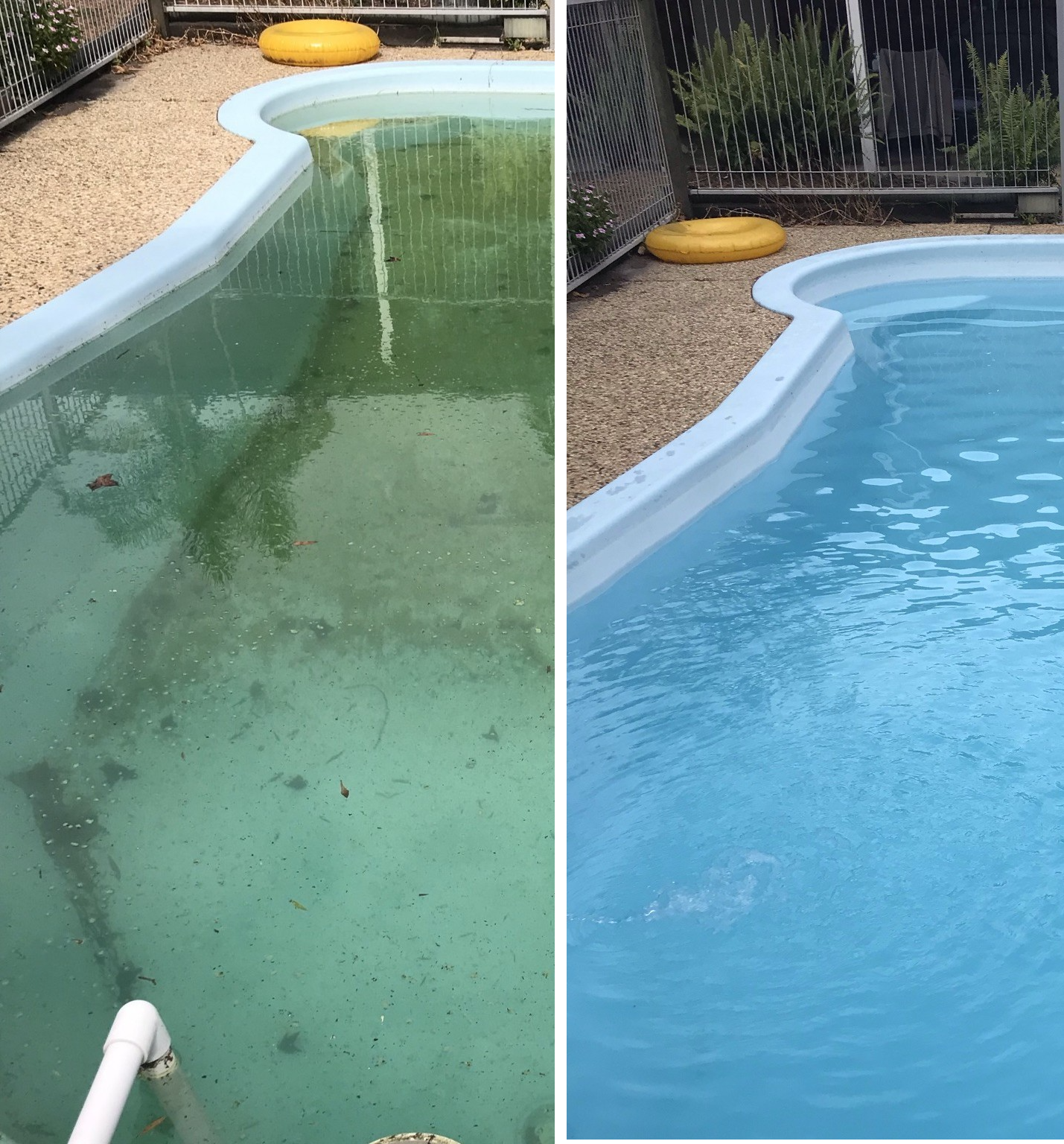 Before and after green pool recovery by Clarity Pool Services