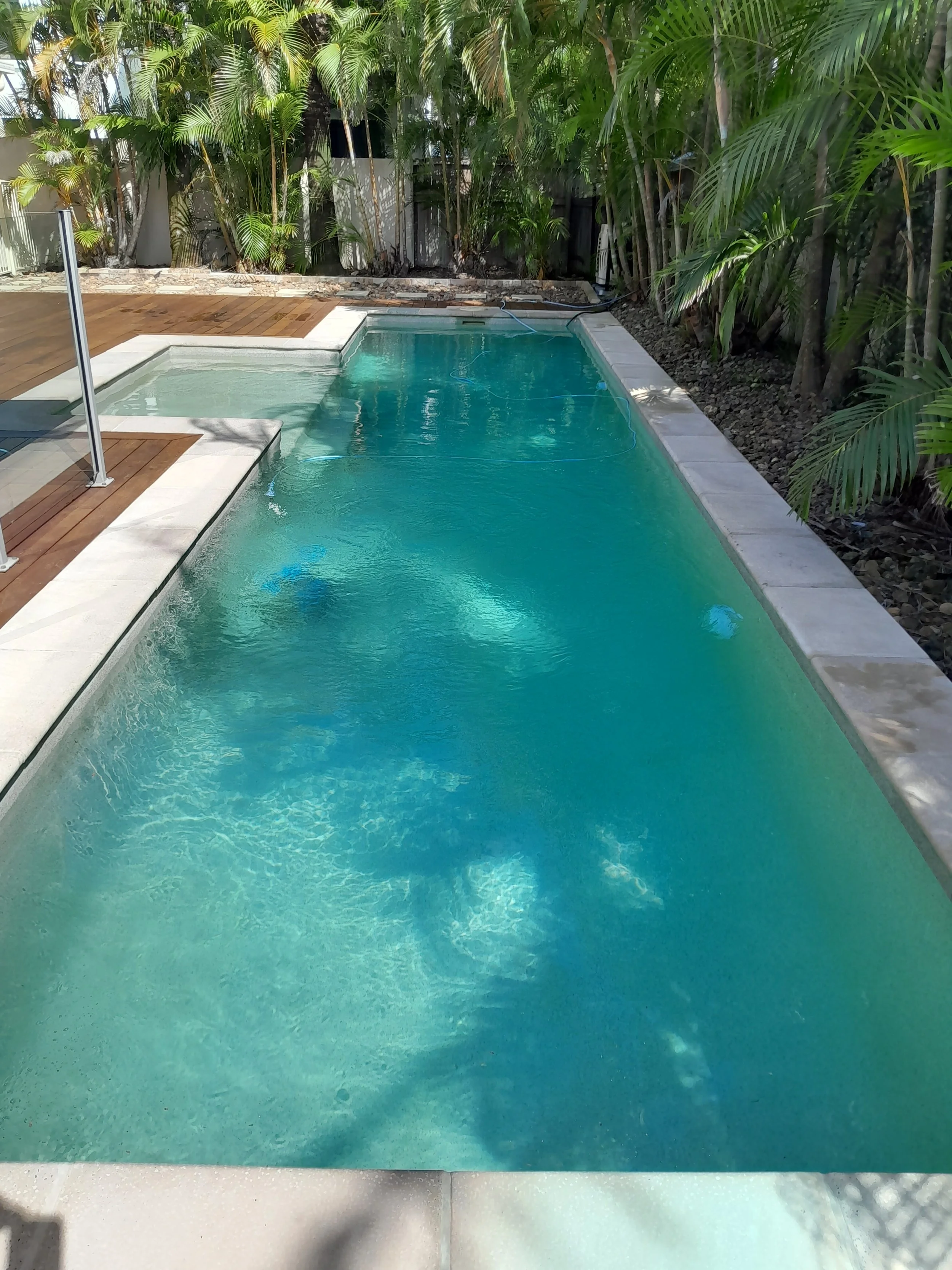 Rectangular swimming pool with turquoise water, pale coping and tropical palms in Parrearra.