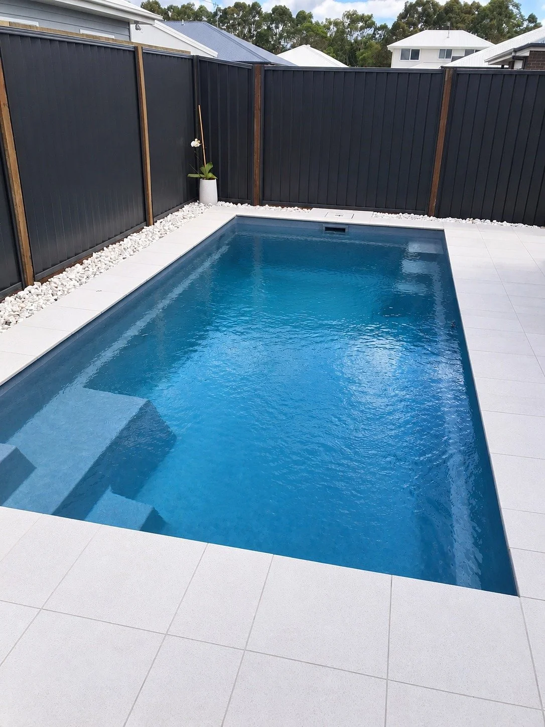 Rectangular swimming pool with white paving and dark fencing in Palmview.