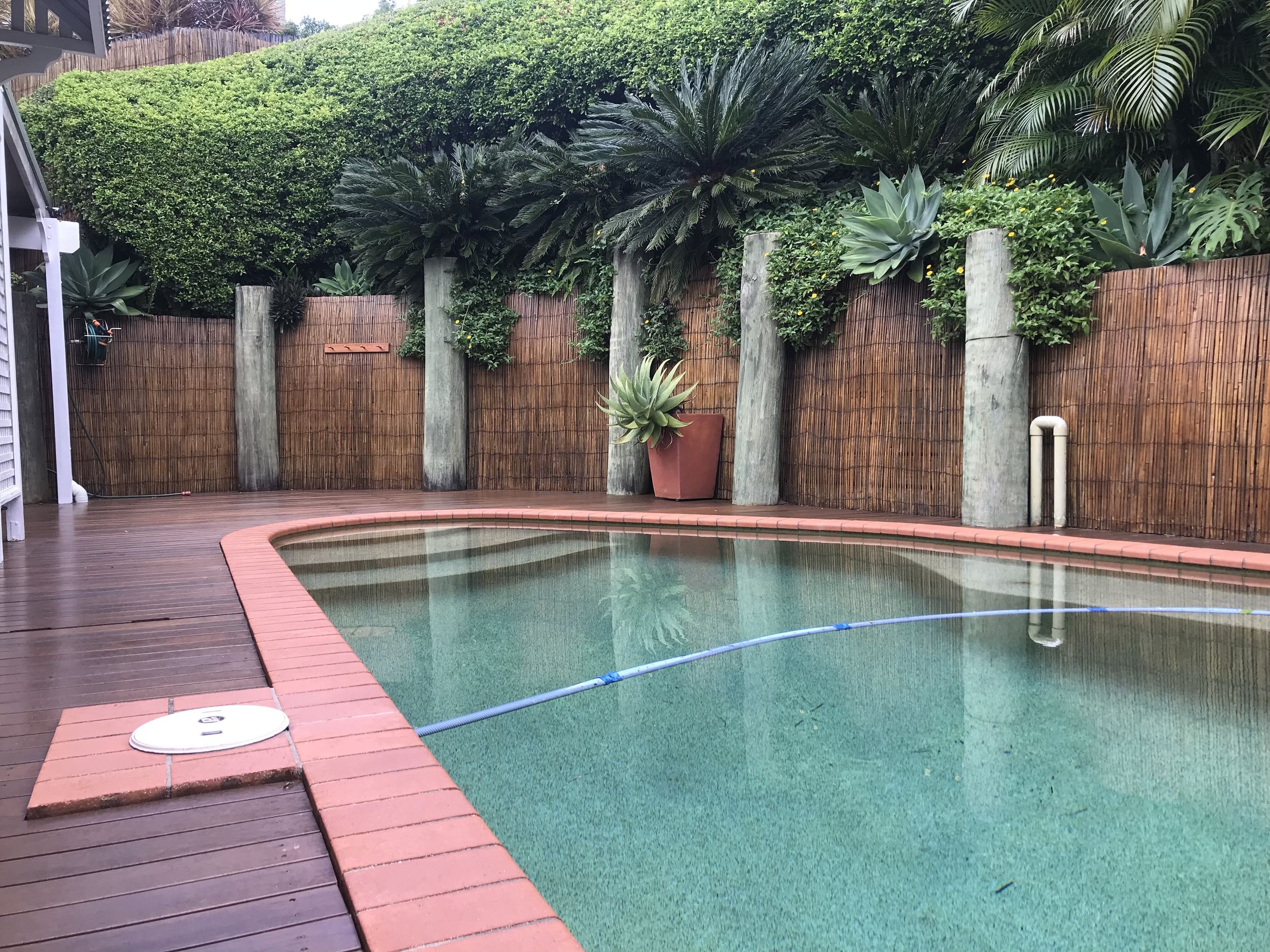Backyard swimming pool in Alexandra Headland