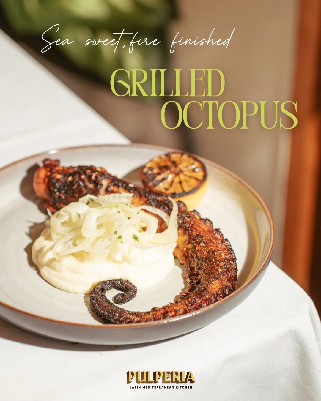 From sea-sweet to fire-kissed&mdash;mains worth lingering over
 🐙 Grilled Octopus&bull; 🍗 Half Murray Chicken &bull; 🐟 Market Fish Fillet &bull; 🍔Fontana Burger 
Reserve on Resy or OpenTable (link in bio)

📍 Restaurant Row &mdash; 338 W 46th St,