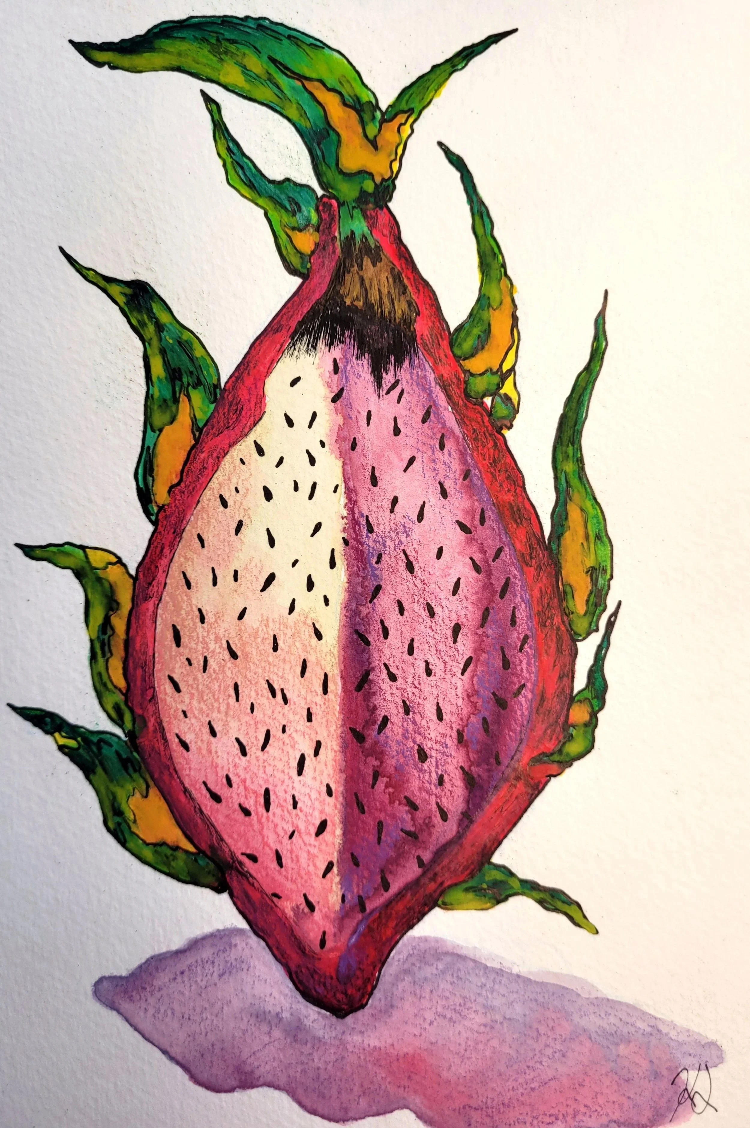 Dragon+Fruit.jpg