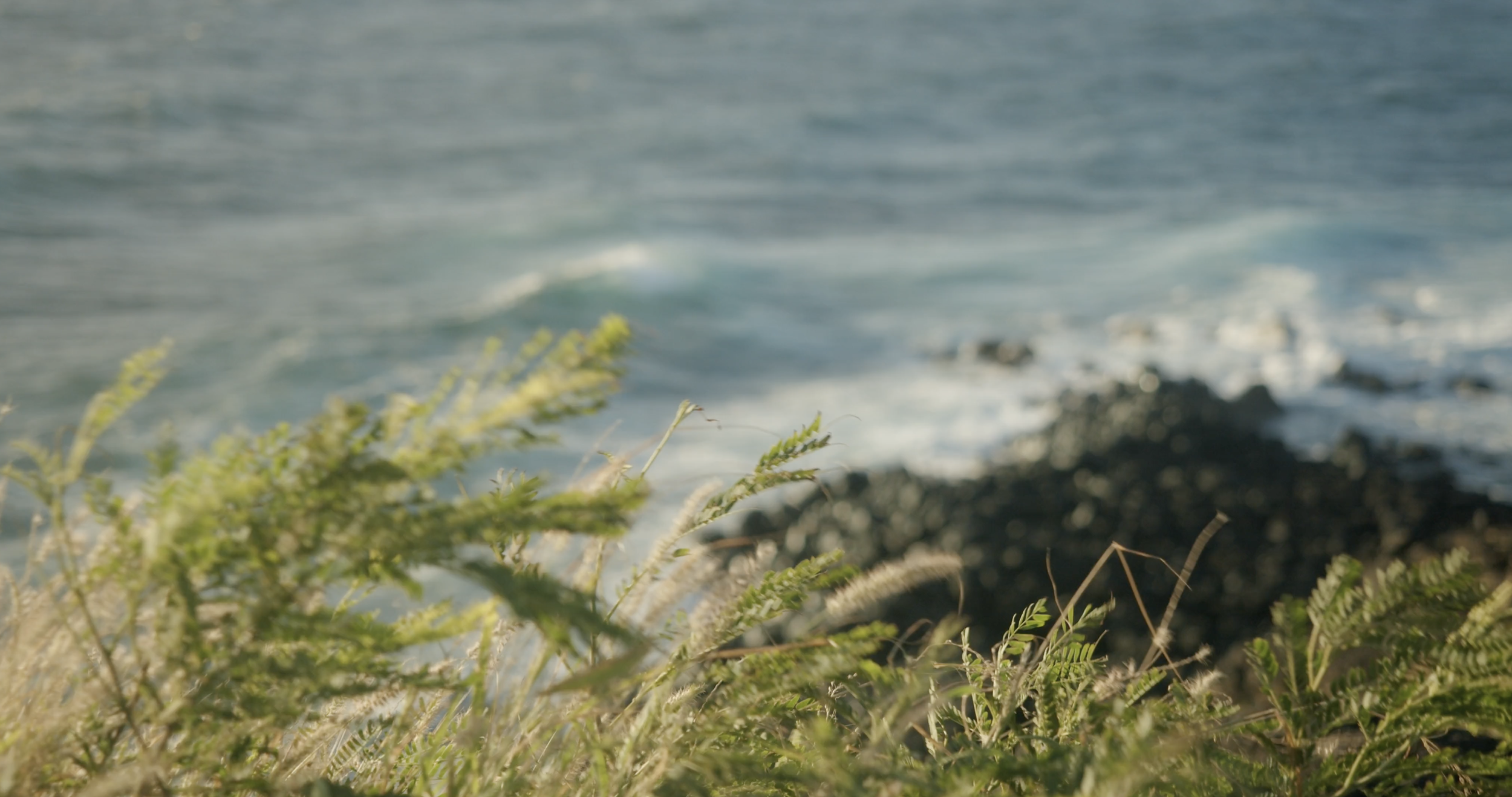 Screenshot 2025-08-04 at 11.32.17 AM.png