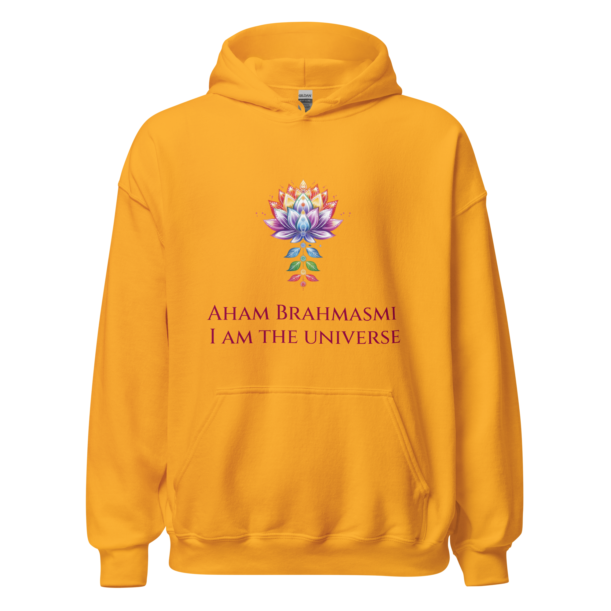 I Am Universe Hoodie