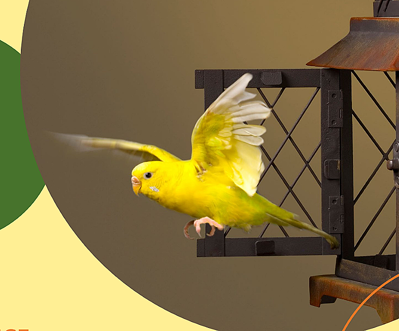“Be set free”: a talk on Christian Science