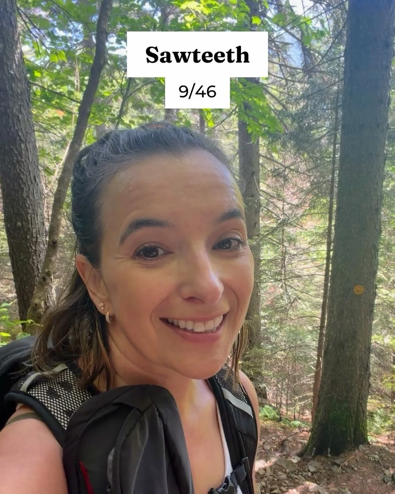 📍Sawteeth

⬆️ 4,120 ft (1,256 m)

My 9th completed peak in the 46ers High Peaks Challenge

#46erschallenge #adirondacks #highpeaks #hiking
