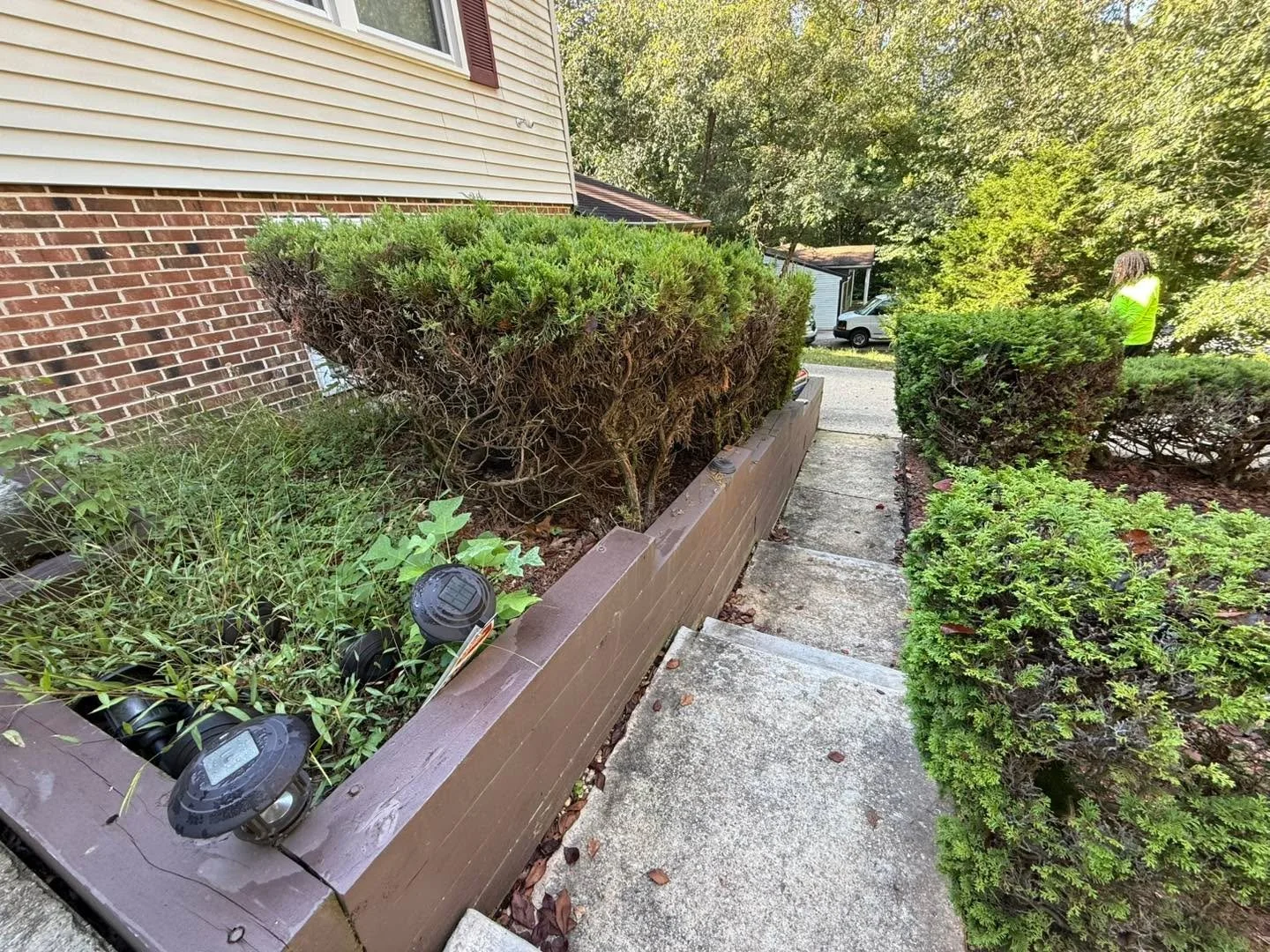 Today&rsquo;s project was quite enjoyable! We worked through the process and successfully reclaimed the flower bed, where six bushes had merged into one. Here are some before and after pictures. #LawnCare #locallyowned #localbusiness #smaillbusiness 