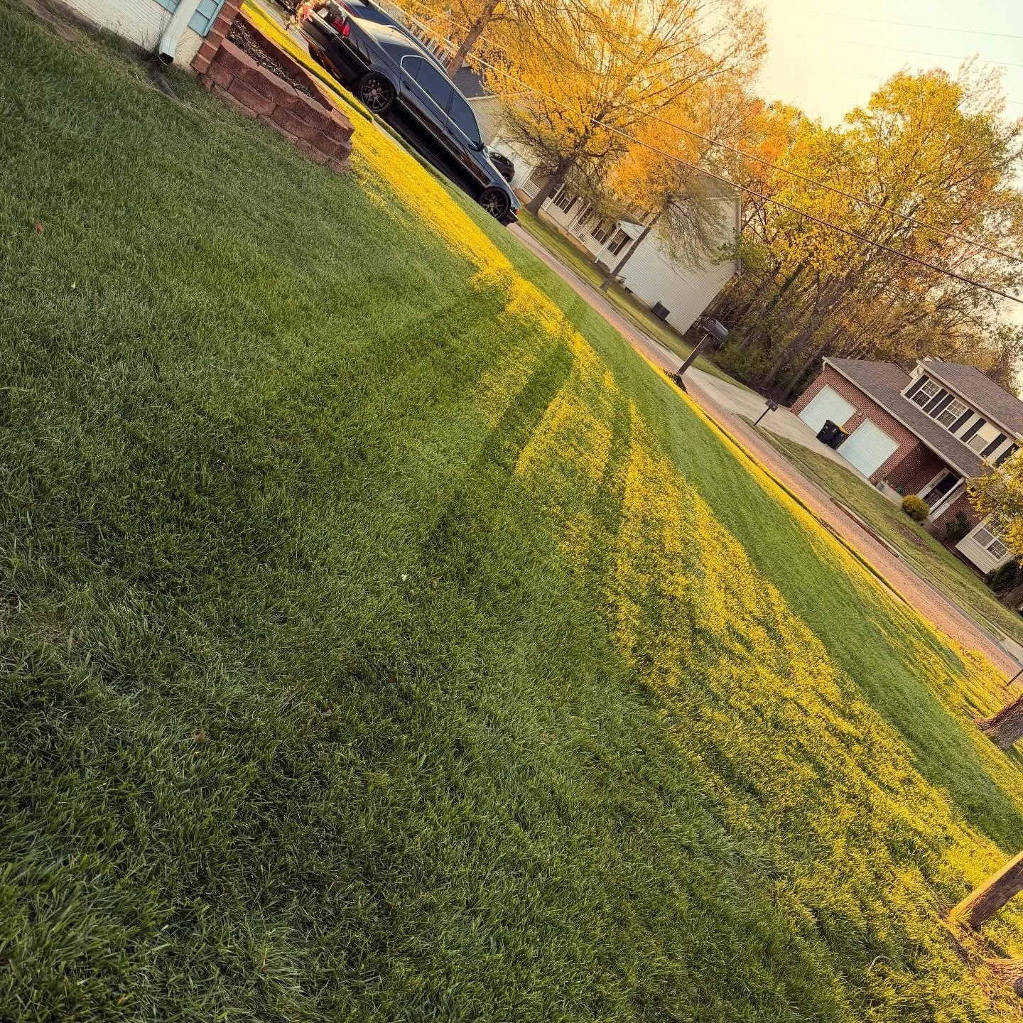 Another day another cut with Us