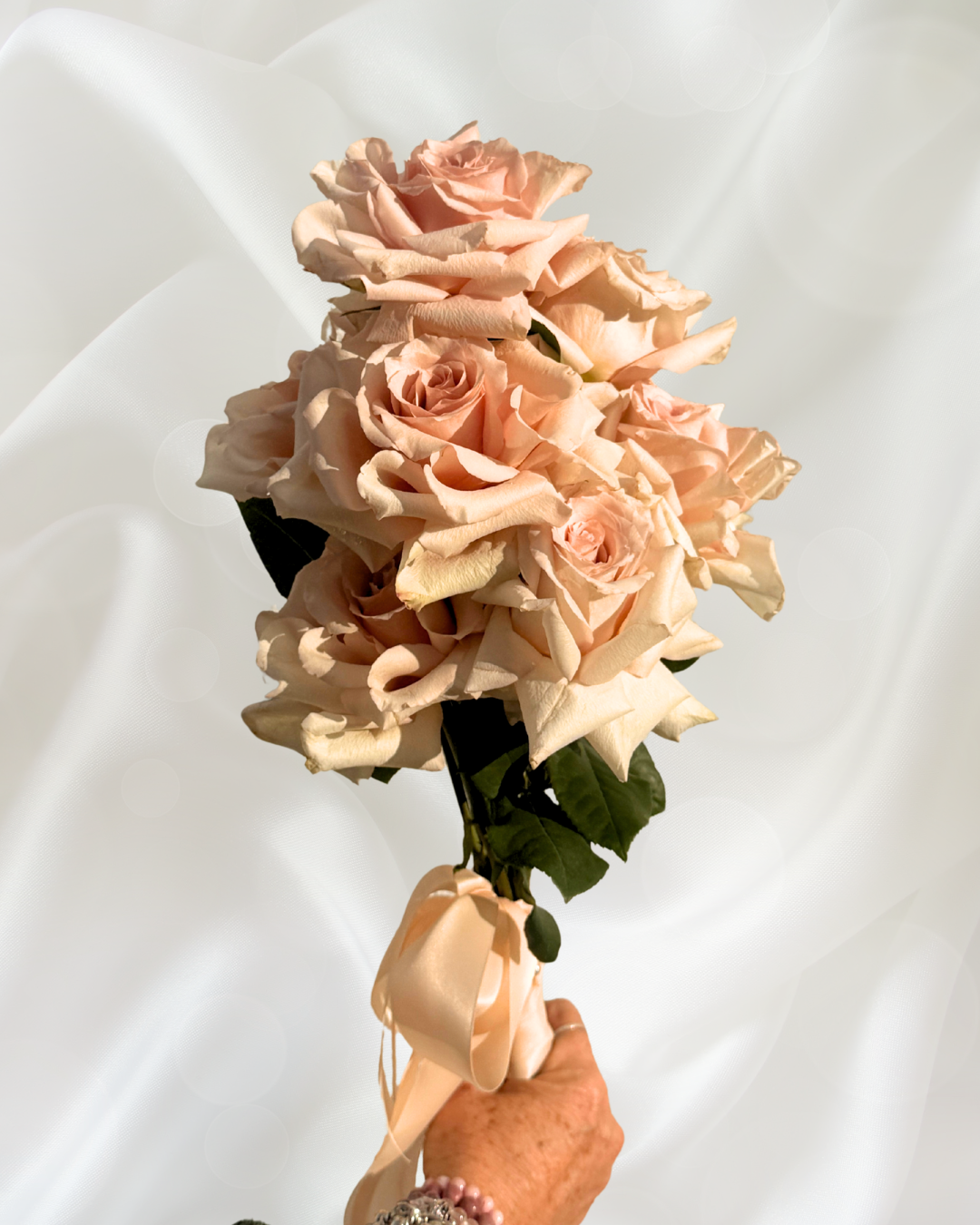 A hand holding a bouquet of pale pink roses with green leaves, wrapped with a pale pink satin ribbon, against a white background.