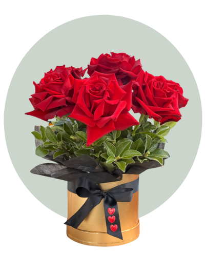 Half Dozen Roses Hatbox