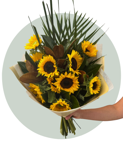 Golden Radiance Sunflowers