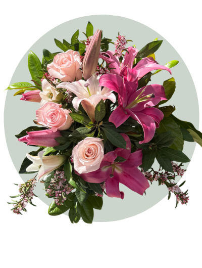 Petal Embrace.png