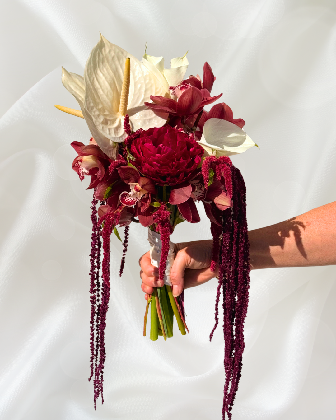 A person holding a mixed floral bouquet with white anthuriums, deep red peonies, and hanging burgundy amaranthus, against a white background.