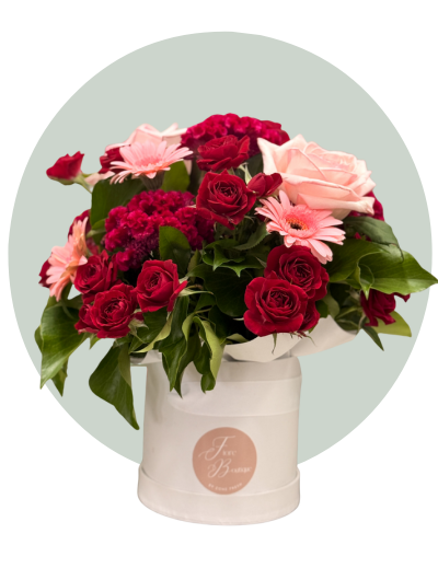 Rose Romace.png