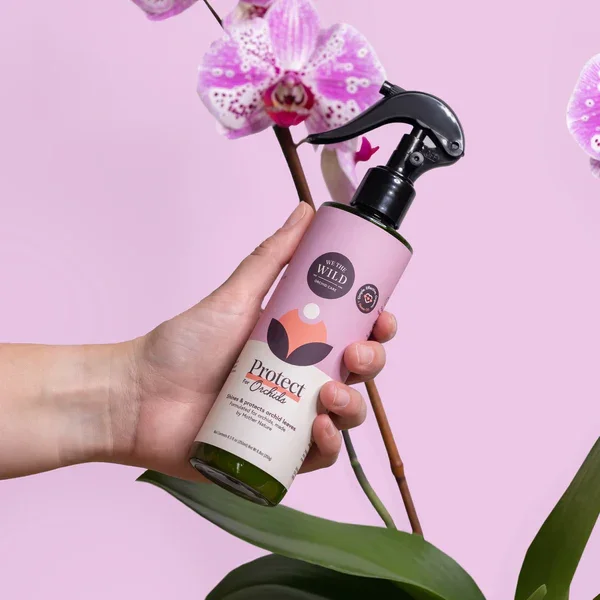 Orchid Protect Spray.webp