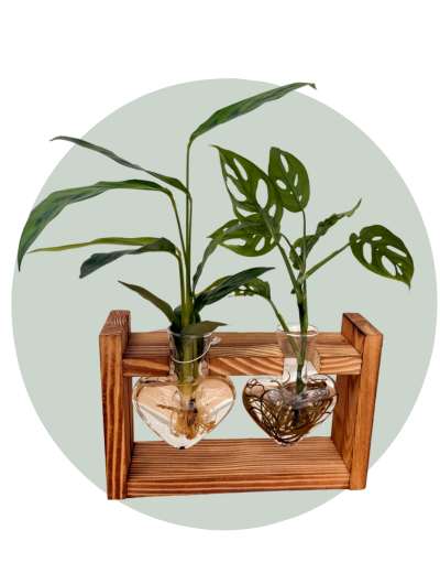 Heart Shaped Desk Bloom (1).png