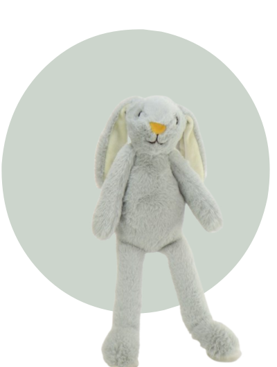 Rabbit Long Legs (1).png
