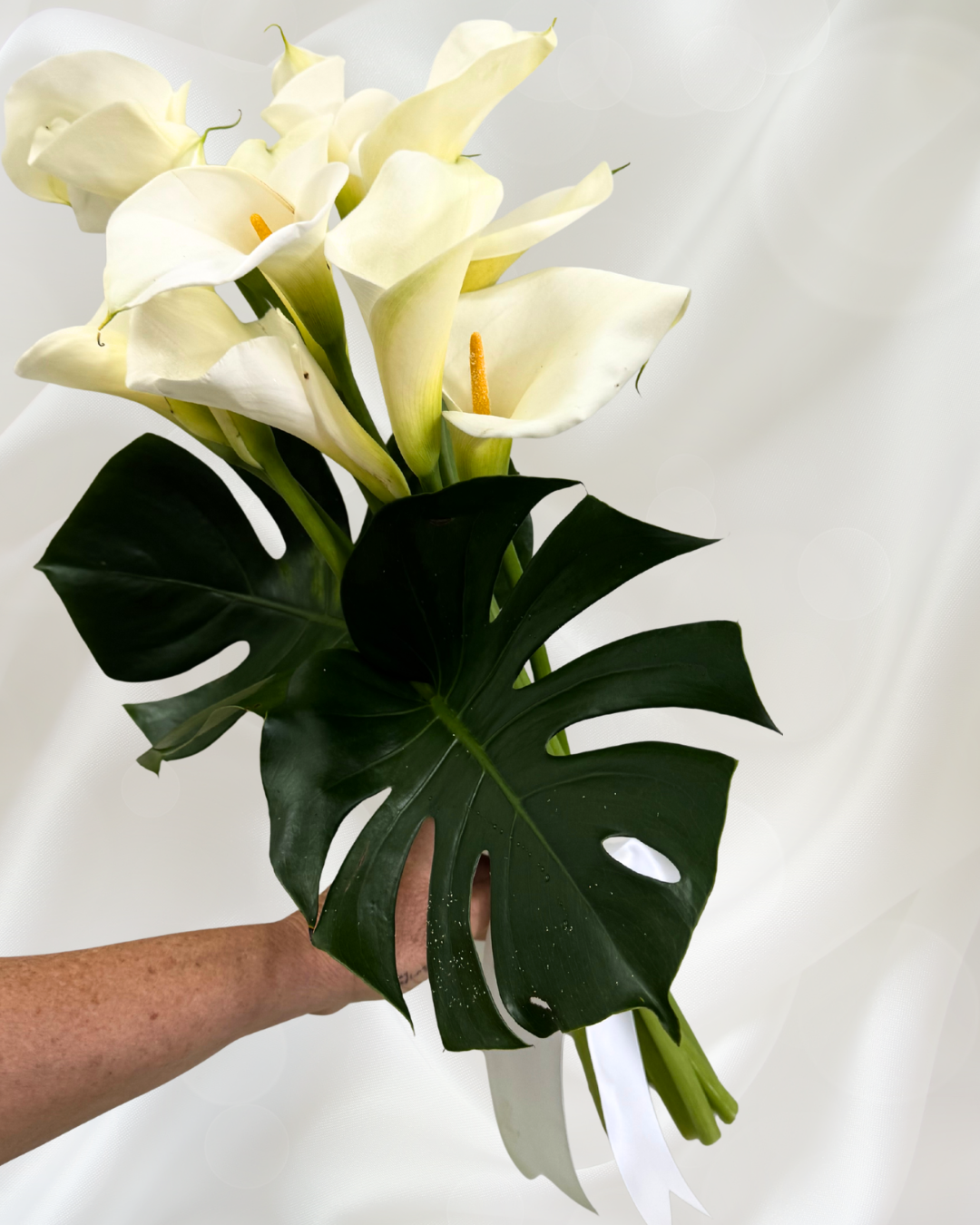 A hand holding a bouquet of white calla lilies with dark green leaves on a white background.