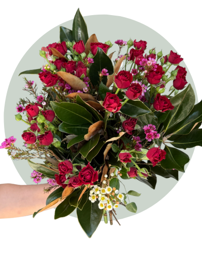 Plant Variety Ceramic 2.png