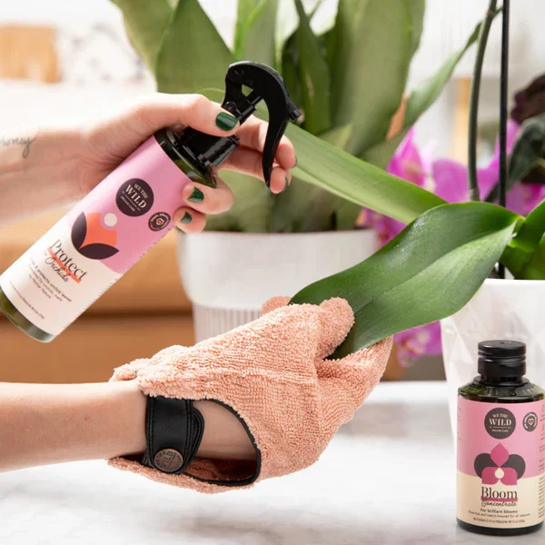 Orchid Protect Spray 1.webp