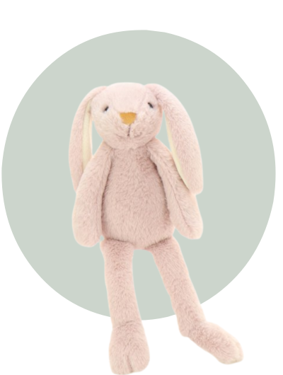 Rabbit Long Legs