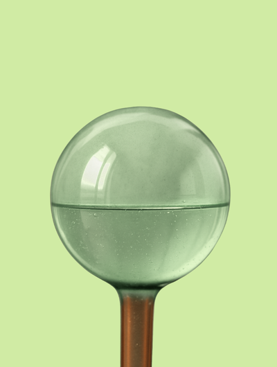 Self-Watering Globe (1).png