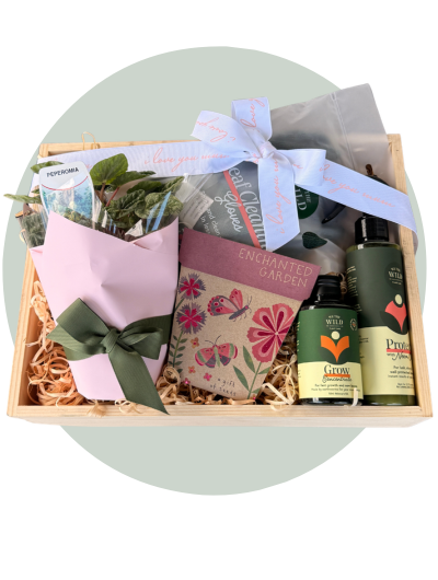 Mum’s Plant Hamper.png