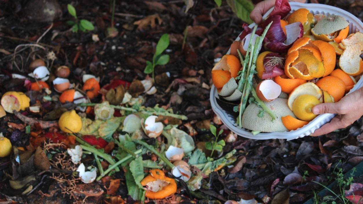 Screenshot 2025-09-16 at 11.18.26 AM.png