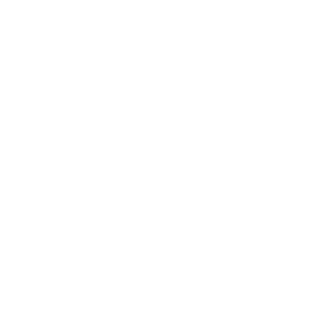Tasmanian Government logo with a stylized map of Tasmania and a native bird.
