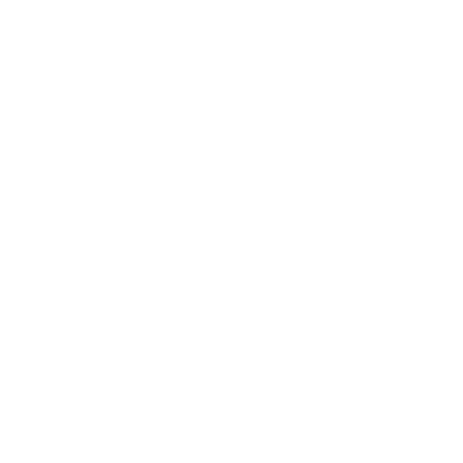 Sunshine Coast Airport logo with stylized airplane and sunburst design in black and white