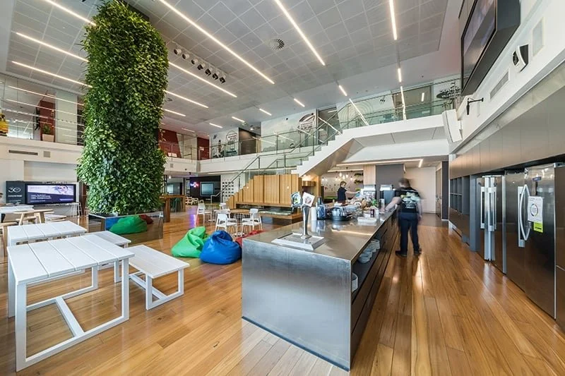 Office-Tour-TechnologyOne-800x533-2018(59).jpg